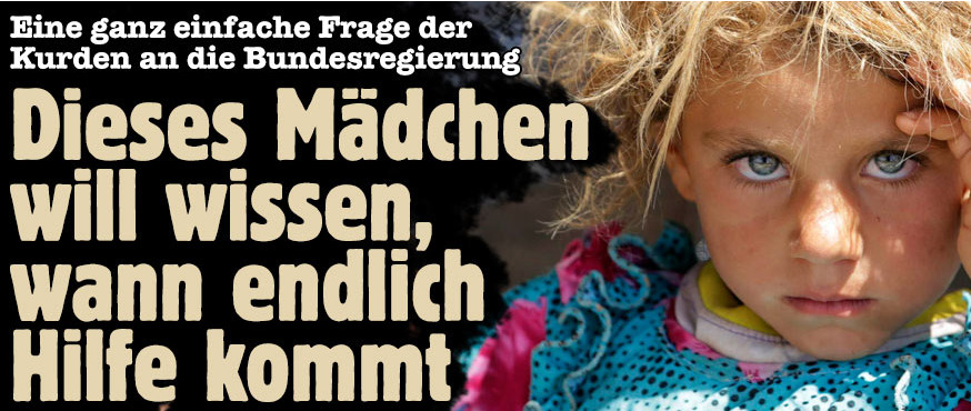 2014-08_kurden-maedchen_propaganda_schwerdtfegr